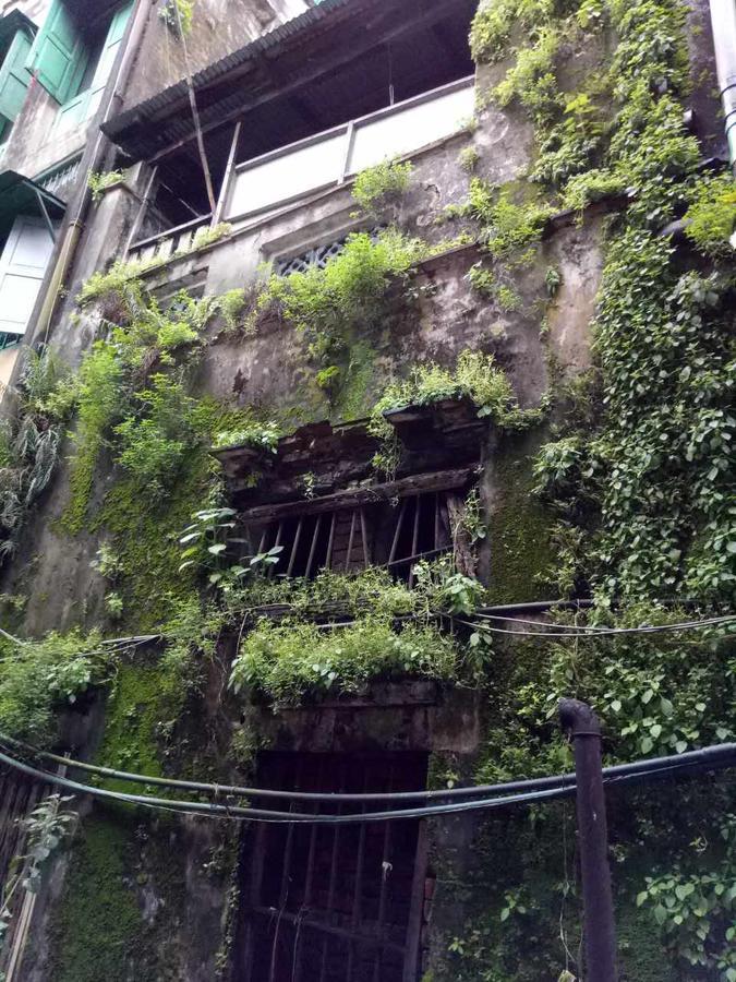 Baobabed Hostel Yangon, Myanmar Bagian luar foto
